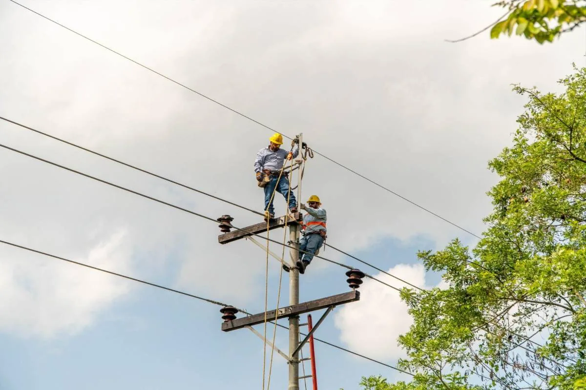 Dos trabajadores con cascos amarillos y arneses realizan mantenimiento en un poste de electricidad con múltiples cables y aisladores, bajo un cielo nublado con árboles verdes.