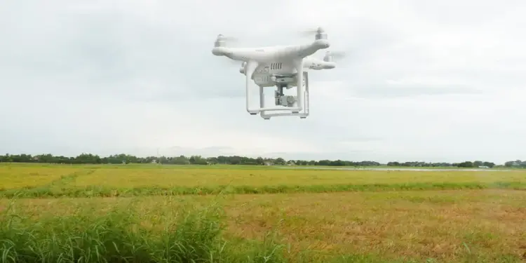 Dron blanco volando sobre un campo de cultivo verde y seco bajo un cielo nublado.