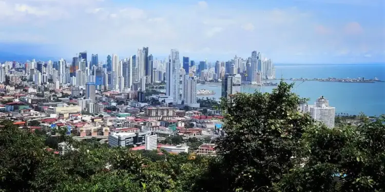 Vista panorámica de una gran ciudad con numerosos rascacielos junto a la costa y vegetación en primer plano.