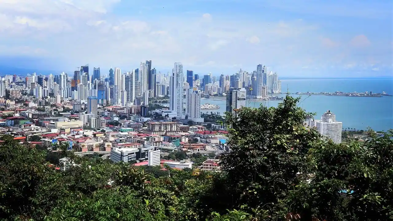 Vista panorámica de una gran ciudad con numerosos rascacielos junto a la costa y vegetación en primer plano.