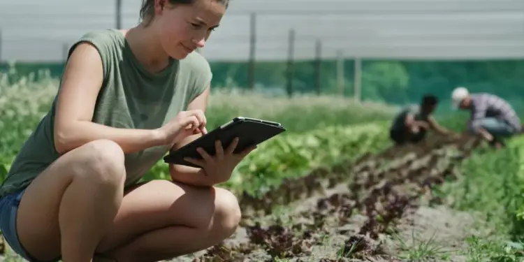 Mujer agachada en un cultivo utilizando una tablet mientras otros trabajadores laboran al fondo.