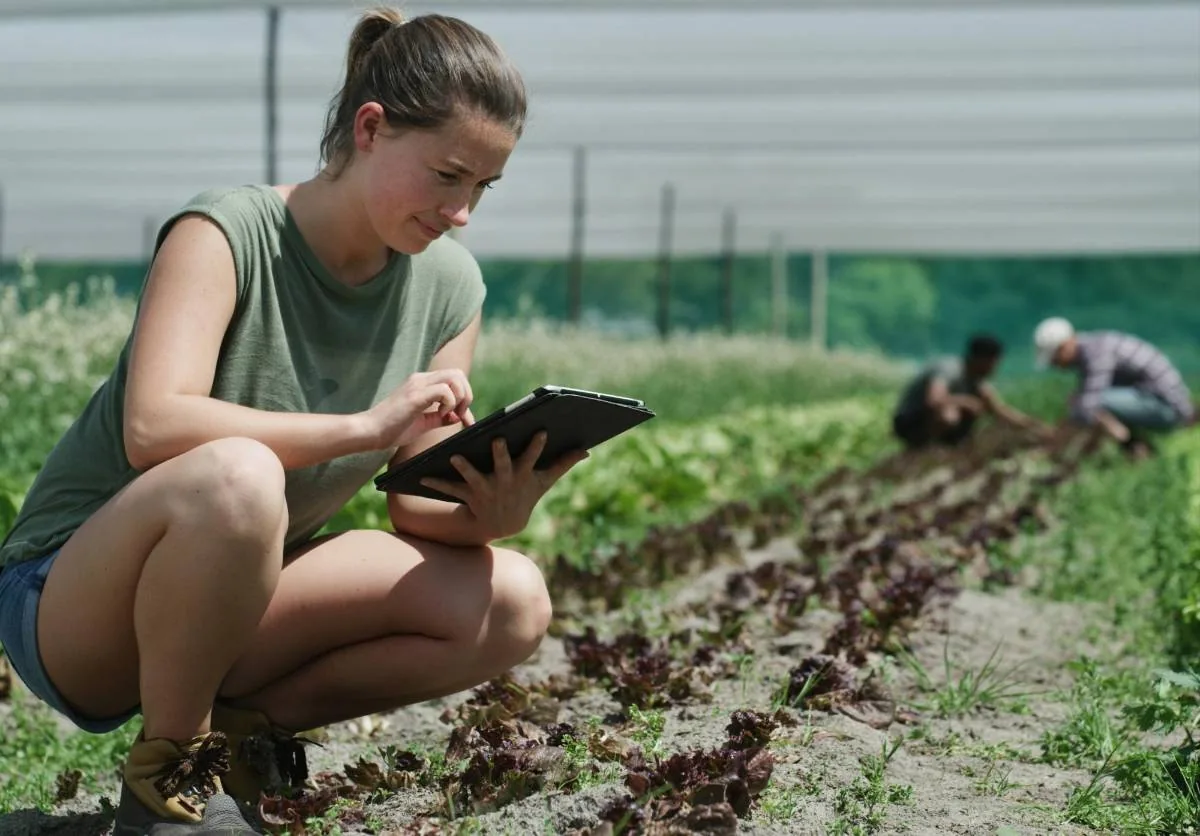 Mujer agachada en un cultivo utilizando una tablet mientras otros trabajadores laboran al fondo.